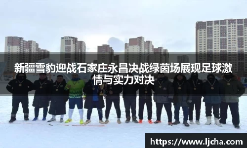 新疆雪豹迎战石家庄永昌决战绿茵场展现足球激情与实力对决